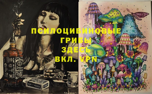 молекула духа Пролетарск