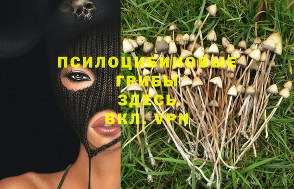 спайс Приозерск
