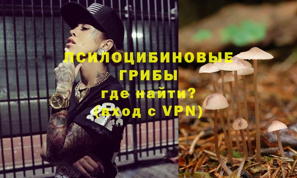 спайс Приозерск