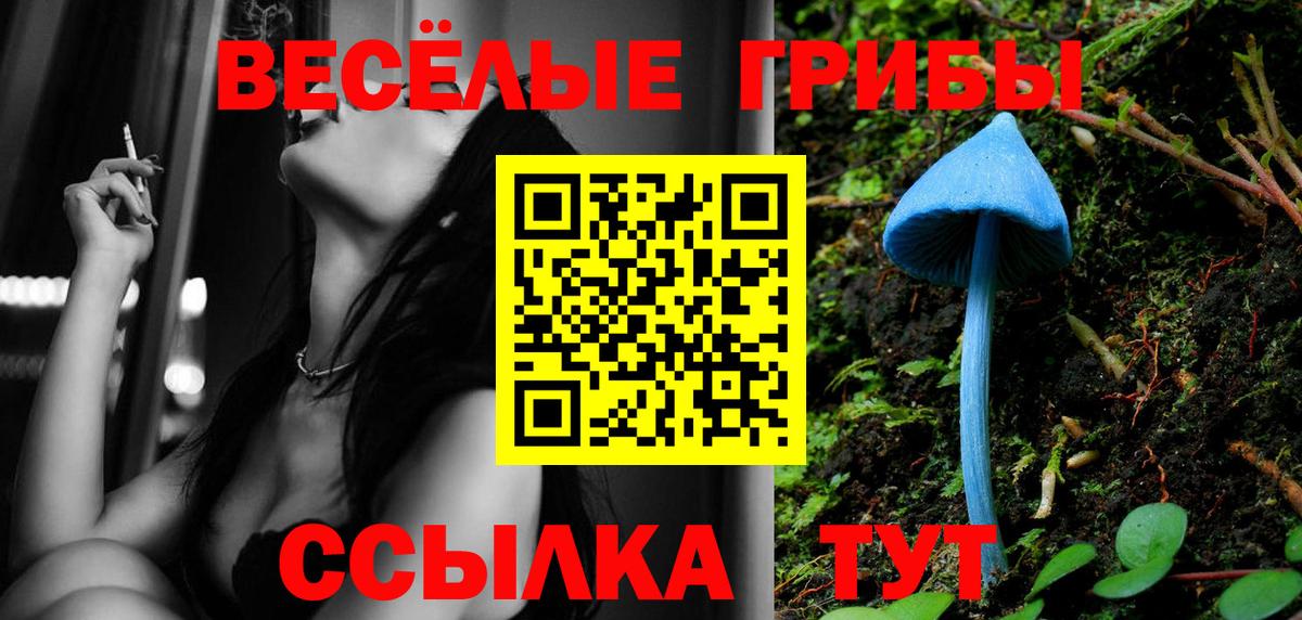 Галлюциногенные грибы GOLDEN TEACHER  Вход с VPN  Краснокамск 